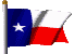 texas1.gif